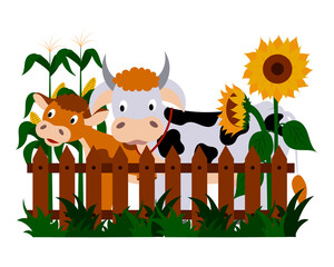 Farm animals, a cow and a calf are standing at the fence, sunflowers and corn are blooming. Illustration of a summer countryside, a pretty farm. Vector isolated on a white background