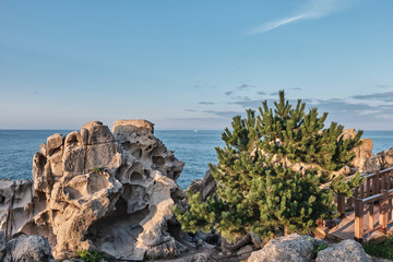 rocky coast of the sea