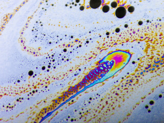 Detail of soap bubbles with sugar. Photography made with a digital microscope.