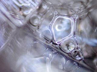 Detail of soap bubbles with sugar. Photography made with a digital microscope.