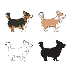 Set of dogs, pembroke welsh corgi, outline, silhouette and with color (tricolor and sable). Side view of standing dogs. 