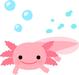 水中にいるウーパールーパー