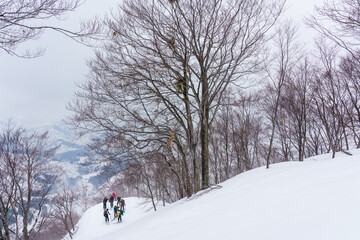 山スキー　登高