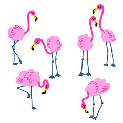 Hand drawn pink flamingo collection. Perfect for T-shirt, poster, stickers and print. Doodle vector illustration for decor and design.
