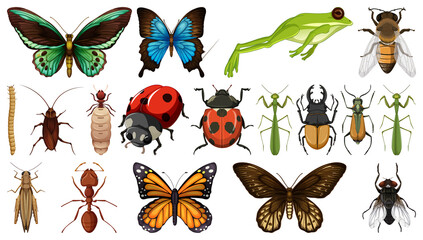 Different insects collection isolated on white background