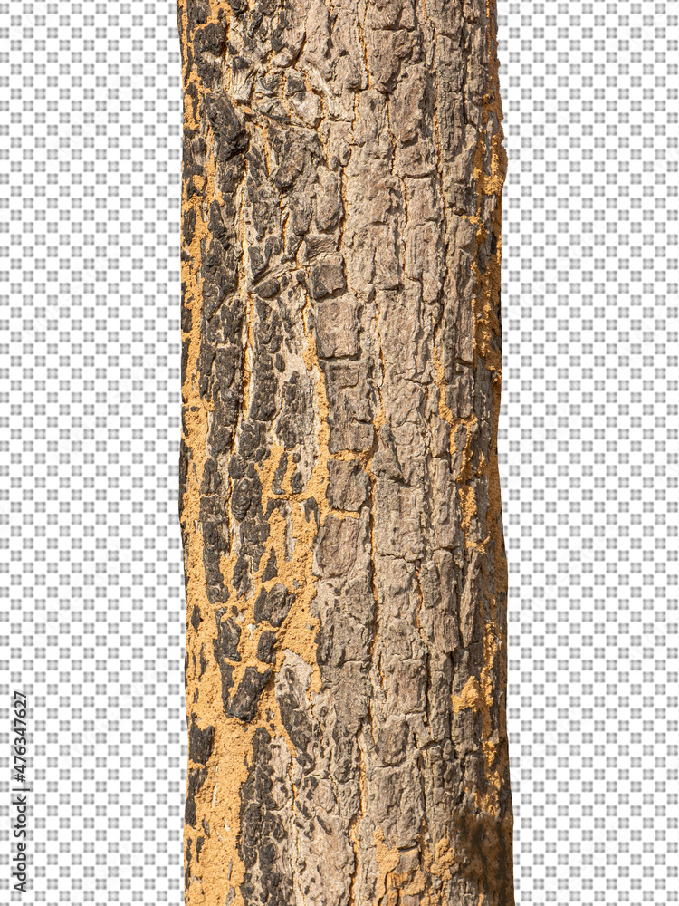 Aufkleber Trunk of a Tree Isolated On White Background