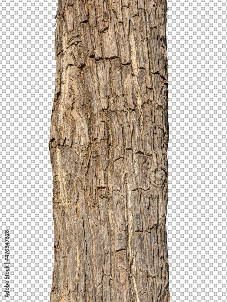 Aufkleber Trunk of a Tree Isolated On White Background
