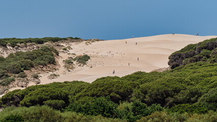 Sol abrasador sobre la duna de la playa Bolonia en Cádiz. Donde se ubica el conjunto arqueológico de Baelo Claudia.