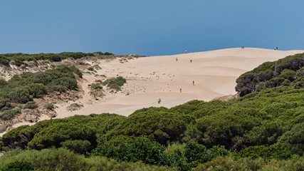 Selbstklebende Fototapete Strand Bolonia, Tarifa, Spanien Sol abrasador sobre la duna de la playa Bolonia en Cádiz. Donde se ubica el conjunto arqueológico de Baelo Claudia.