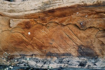 Old brown wood background or texture