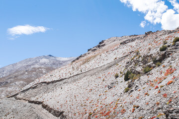 dirt road on beautiful mountain