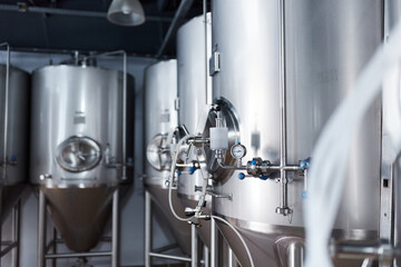 Equipment for the production of craft beer, containers for fermentation in the climatic chamber, pressure gauge with tubes and stainless steel tanks.