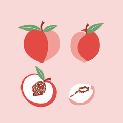 Isolated peach fruits. Two whole fresh peach and a half with kernel and leaves isolated vector illustration.