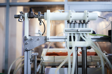 Equipment for the production of craft beer, a machine for bottling and capping bottles. Front view.