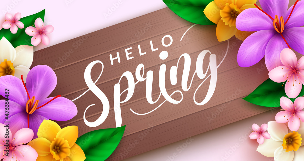 Poster spring flower vector design. hello spring typography text with nature flowers like crocus, daffodil 