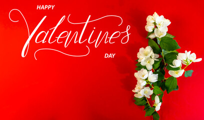 Happy Valentine's day! Card, online banner, greeting card, Flat lay on Valentine's Day, Beautiful White Jasmine Flowers