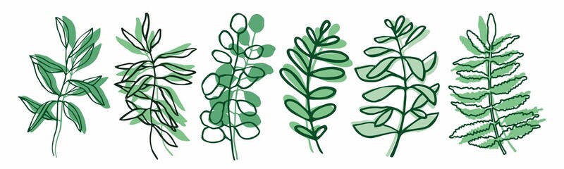 Set of decorative floral tree branches in line style isolated on white. Collection of modern botanical plants, herbs for the decoration of postcards, invitations, posters. Cartoon vector illustration.