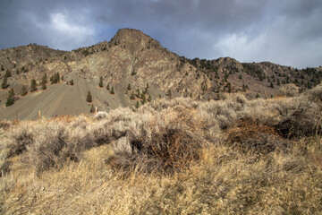 sage brush and rock slide in the mountains