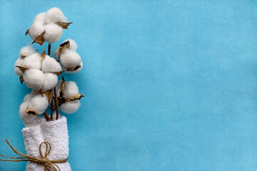 Fototapeta na wymiar A cotton flower on a blue paper background and a white terry towel. Eco-friendly body product