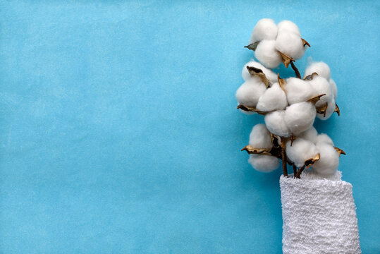 A cotton flower on a blue paper background and a white terry towel. Eco-friendly body product