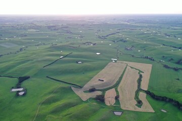 Beautiful farming landscape, with cows, ion Australia 