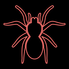 Neon spider or tarantula red color vector illustration image flat style