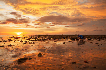 female amateur photographer Taking pictures of the sea