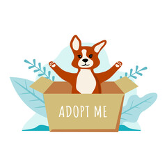 Cute dog in the box. Homeless animal is looking for a host. Animal shelter.