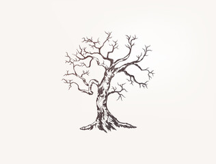 drought tree vector illustrations. printable image with dry tree concept.
