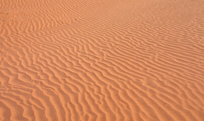 Panoromic view of sandy hills of red dunes and dead trees of Deadvlei valley in Sossusvlei area, Namib desert - Namibia, Africa