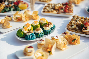 Wedding reception. catering for guests. Buffet with snacks