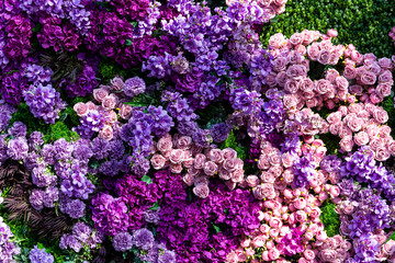 Purple and pink floral background wall with flowers: roses, peonies (Paeonia) and lilac (Syringa).