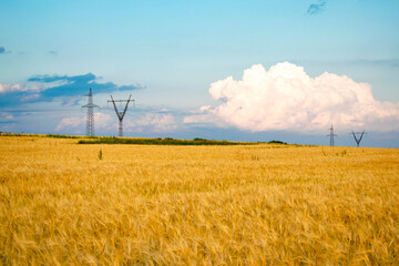 Steel towers of power lines on the background of a wheat field. Technological concept.