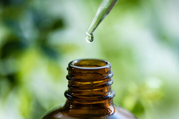 スポイトでアロマオイルを遮光瓶に移す