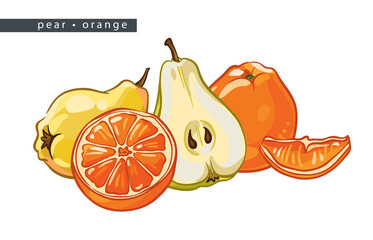 sketch_pear_orange_two_whole_fruits_two_halves_and_a_slice