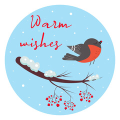 Cute bullfinch with rowan berry and winter branch with berries. Warm wishes lettering. Greeting card.