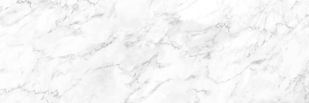horizontal elegant white marble texture background,vector illustration © eNJoy Istyle
