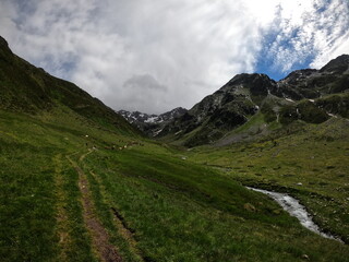 landscape in the mountains