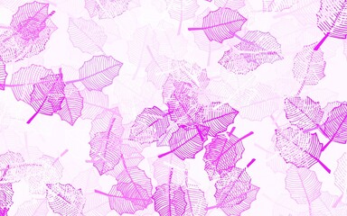Light Purple vector elegant background with leaves.