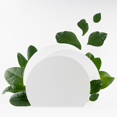 Fashion eco abstract white scene mockup with semicircles as podium for presentation cosmetic product, goods, design, advertising  with green leaves flying in sunlight, geometric natural style, square.