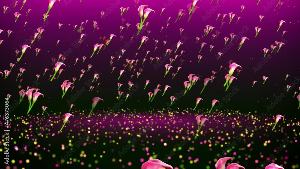 Poster abstract sweet rotating motion view red pink calla lily flowers and glitter sparkle dust flying on t