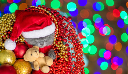 Cute kitten wearing warm sweater  and santa hat sleeps inside basket and hugs  toy bear. Top down view. Empty space for text