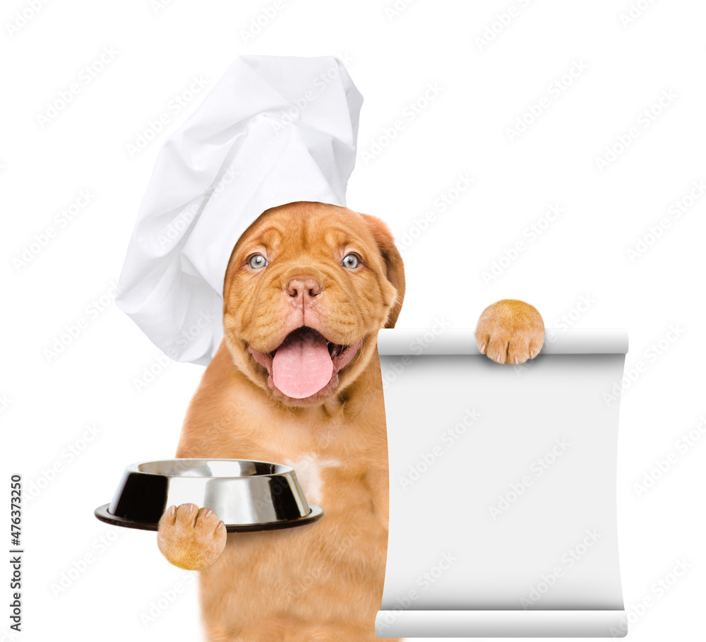 Poster happy puppy wearing a chef's cap holds empty bowl and empty bowl. isolated on white background