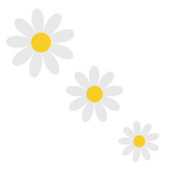 White daisy chamomile set. Camomile icon. Diagonal line. Cute flower plant collection. Love card. Simple shape sign symbol. Growing concept. Flat design. Isolated. Nature background.