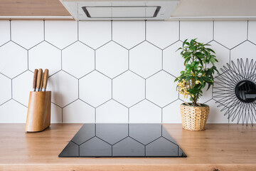 Induction cooker in new modern kitchen interior design