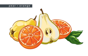 sketch_pear_orange_whole_fruit_and_three_halves