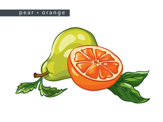 sketch_pear_orange_half_whole_fruit_and_leaves