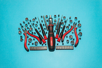 Screwdriver with replaceable heads. Set of tools. Layout.