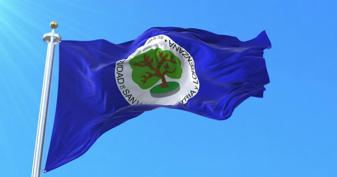 Flag of San Vicente Department, El Salvador. Loop