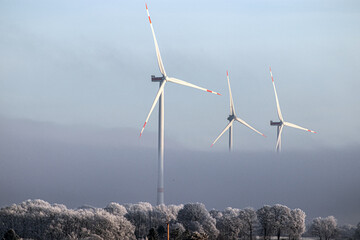Windkraft am Morgen